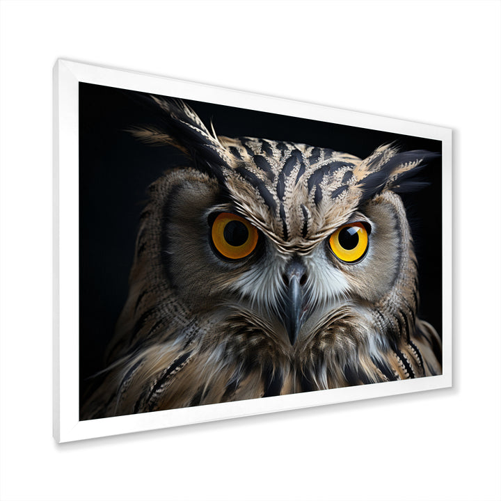 Black White Owl Portrait - Owl Living Room Wall Art