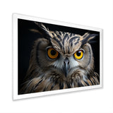 Black White Owl Portrait - Owl Living Room Wall Art