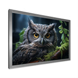 Grey Owl Portrait - Owl Bedroom Wall Art