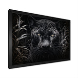 Black White Panther Nocturnal Majesty Scratchboard - Panther Wall Art Prints