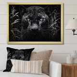 Black White Panther Nocturnal Majesty Scratchboard - Panther Wall Art Prints