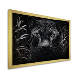 Black White Panther Nocturnal Majesty Scratchboard - Panther Wall Art Prints
