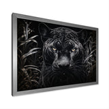 Black White Panther Nocturnal Majesty Scratchboard - Panther Wall Art Prints