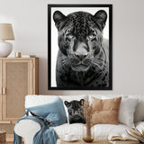 Grey White Panther Realistic Gaze - Panther Framed Canvas Art
