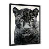 Grey White Panther Realistic Gaze - Panther Framed Canvas Art