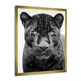 Grey White Panther Realistic Gaze - Panther Framed Canvas Art
