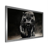 Black White Panther Shadows Grace Charcoal - Panther Living Room Wall Art