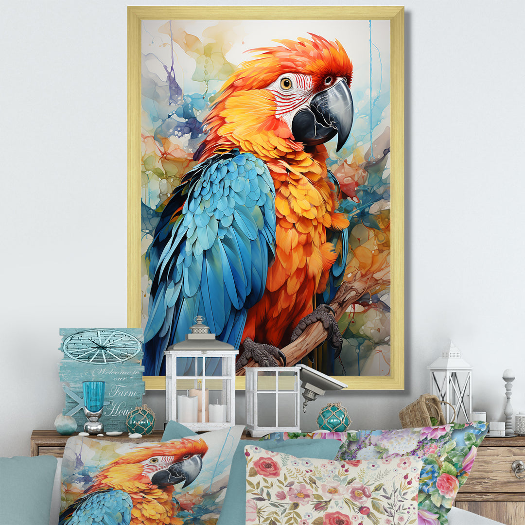 Orange Blue Parrot Vibrant Plumage - Orange Parrot Wall Art