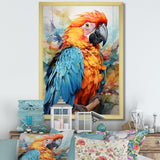 Orange Blue Parrot Vibrant Plumage - Orange Parrot Wall Art