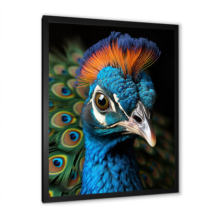 Peacock Animal Portrait - Peacock Canvas Wall Art