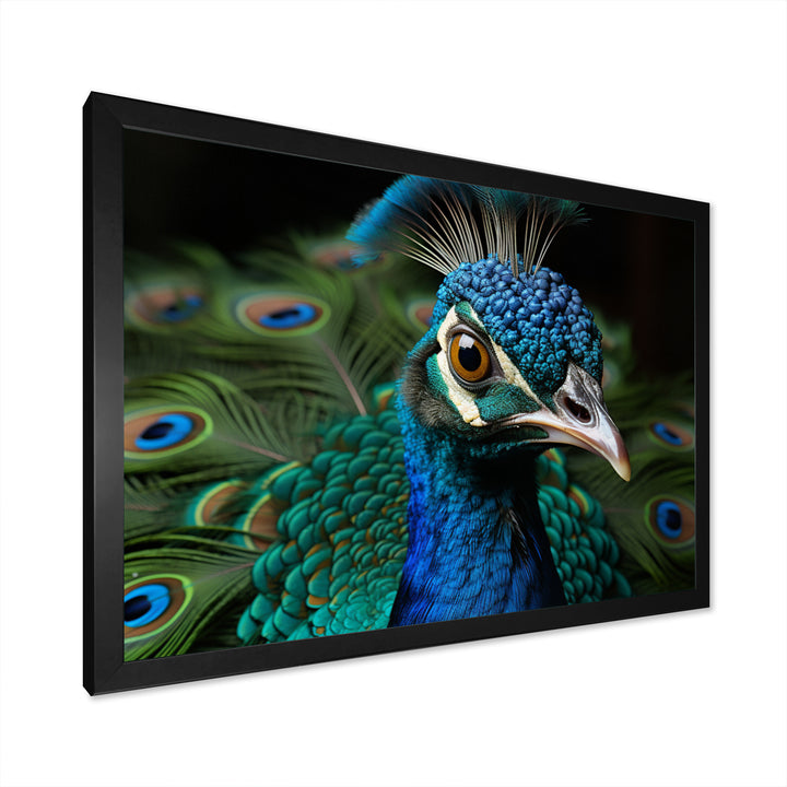 Teal Green Peacock Portrait - Peacock Wall Decor