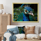 Teal Green Peacock Portrait - Peacock Wall Decor