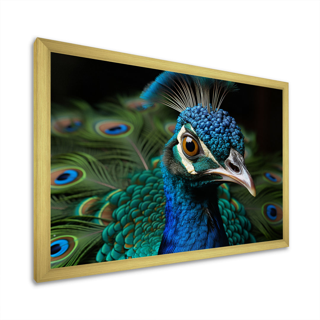 Teal Green Peacock Portrait - Peacock Wall Decor