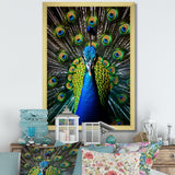 Teal Radiant Peacock - Teal Peacock Wall Art