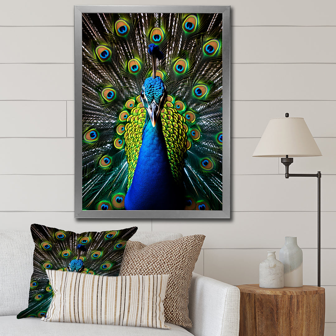 Teal Radiant Peacock - Teal Peacock Wall Art