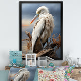 Grey Pelican Tranquil Waters Pelican - Pelican Bedroom Wall Art