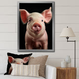Pink Curious Snout Pig - Pig Large Canvas Wall Art