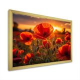 Red Poppies Field With Sunset II - Floral Canvas Wall Art