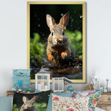 Rabbit Energetic Hopper - Rabbit Canvas Wall Art