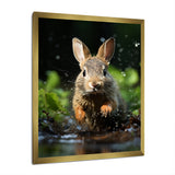 Rabbit Energetic Hopper - Rabbit Canvas Wall Art