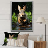 Rabbit Energetic Hopper - Rabbit Canvas Wall Art