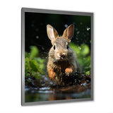 Rabbit Energetic Hopper - Rabbit Canvas Wall Art