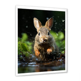 Rabbit Energetic Hopper - Rabbit Canvas Wall Art