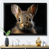 Cute Rabbit Portrait - Brown Rabbit Wall Art