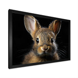 Cute Rabbit Portrait - Brown Rabbit Wall Art