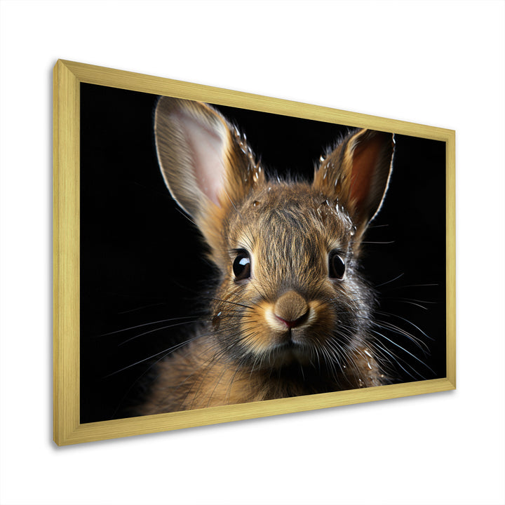 Cute Rabbit Portrait - Brown Rabbit Wall Art