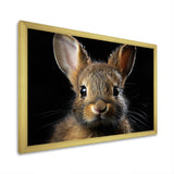 Cute Rabbit Portrait - Brown Rabbit Wall Art
