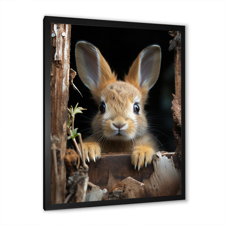 Funny Rabbit Portrait - Rabbit Framed Canvas Art