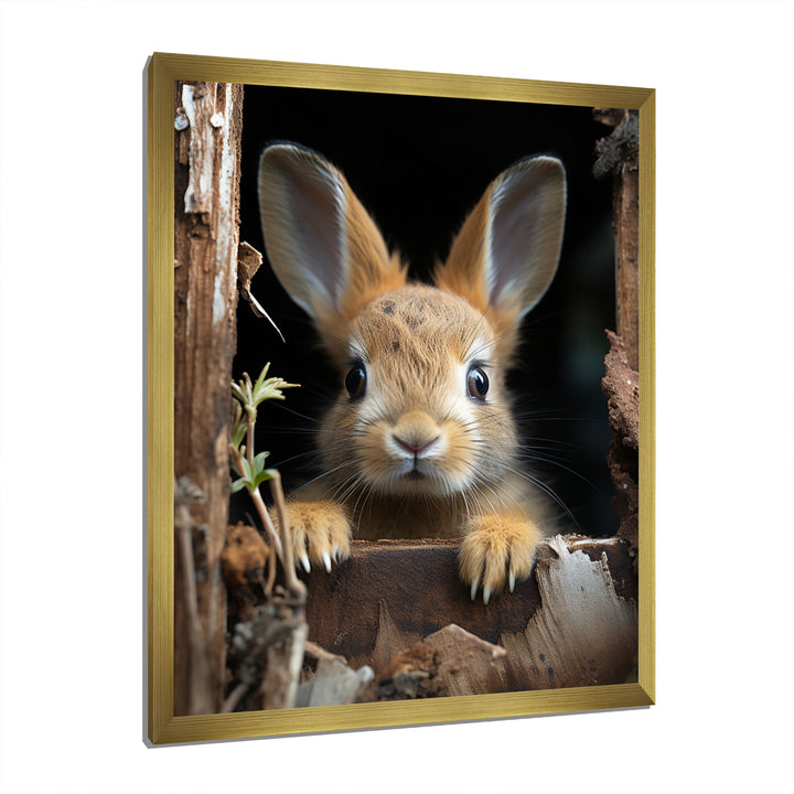 Funny Rabbit Portrait - Rabbit Framed Canvas Art