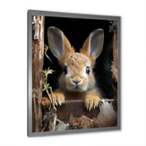 Funny Rabbit Portrait - Rabbit Framed Canvas Art
