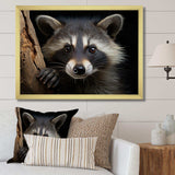 Curious Raccoon III - Animals Canvas Wall Art