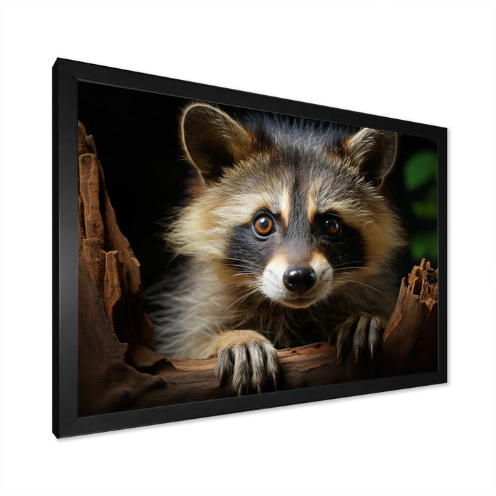 Grey Raccoon Portrait - Raccoon Home Decor Art