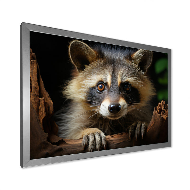 Grey Raccoon Portrait - Raccoon Home Decor Art