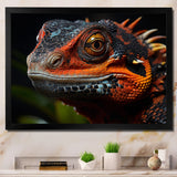 Orange Reptile Amphibian Portrait - Reptile Wall Decor