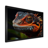 Orange Reptile Amphibian Portrait - Reptile Wall Decor