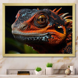 Orange Reptile Amphibian Portrait - Reptile Wall Decor