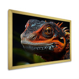 Orange Reptile Amphibian Portrait - Reptile Wall Decor