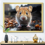 Curious Cute Rodent - Rodent Canvas Wall Art