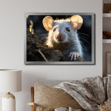 Cute Rodent Portrait - Rodent Canvas Wall Art