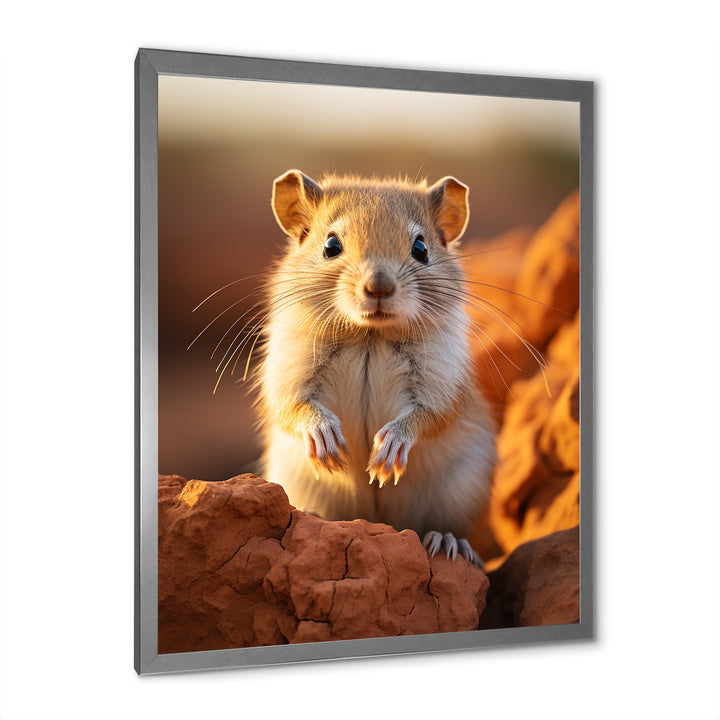 Small Wonder Rodent - Rodent Wall Art Prints
