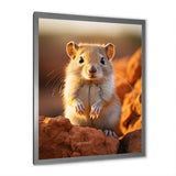 Small Wonder Rodent - Rodent Wall Art Prints