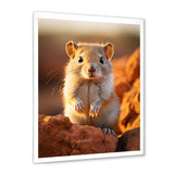 Small Wonder Rodent - Rodent Wall Art Prints