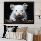 White Small Rodent Wonders - White Rodent Wall Art