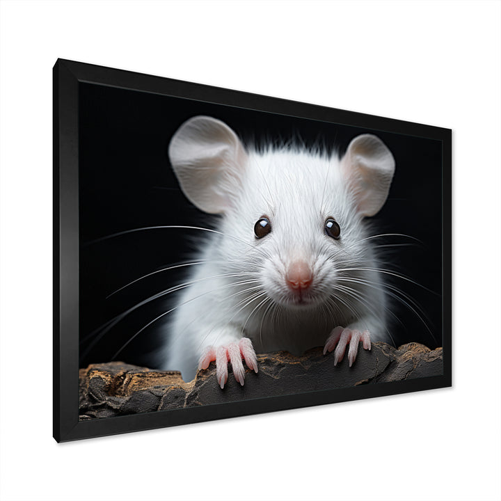 White Small Rodent Wonders - White Rodent Wall Art
