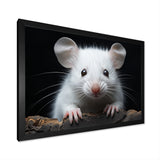 White Small Rodent Wonders - White Rodent Wall Art