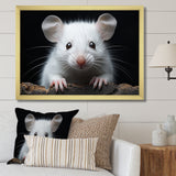 White Small Rodent Wonders - White Rodent Wall Art